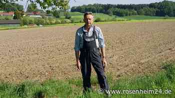 Statt Kiebitz profitieren Grundstücks-Spekulanten? Altbürgermeister beklagt „übertriebenen Naturschutz“