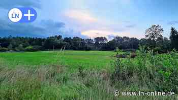 Reinfeld: Freude und Enttäuschung nach Abstimmung zum Baugebiet „Grünes Herz“ - Lübecker Nachrichten