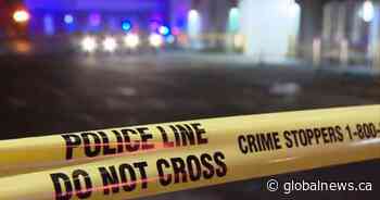 Shots fired in Falconridge Monday: Calgary police