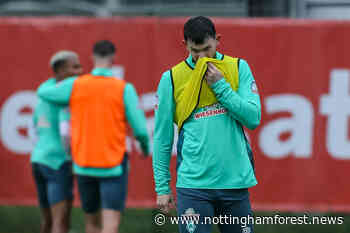 Former Nottingham Forest man Oliver Burke enjoys Werder Bremen debut - Nottingham Forest News