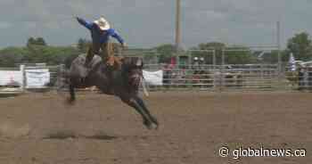 Raymond Stampede welcomes back professional rodeo for 120th anniversary - Global News