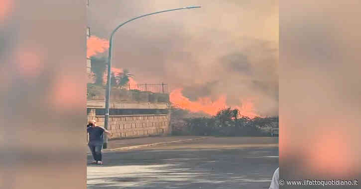 Roma, le fiamme a pochi metri dalle abitazioni: i residenti in fuga. I video dalla Pineta Sacchetti