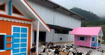 Loja de Brusque realiza bazar de roupas e lucro será doado para Instituto Chat Mouillé - O Município