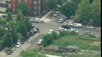 Chicago police officer in serious condition after being shot by convicted felon, officials say - Fox News