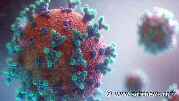 109 new coronavirus cases recorded in SA - SABC News