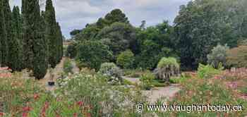 Montpellier: Science in Virtual Reality for the Experience with the Family at the Jardin des Plantes - Vaughan Today