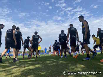 Le ultime dal Centro Sportivo: domani seduta aperta ai tifosi - Forza Parma