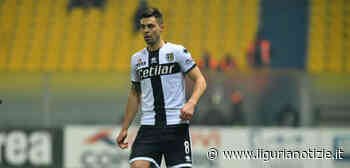 Mercato Samp, pressing a tutto campo per Grassi del Parma - Liguria Notizie