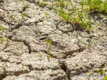 Siccità, stato d'emergenza per cinque regioni: cosa succede
