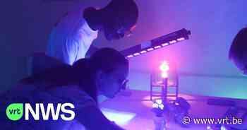 Brailleliga organiseert escape room "In the dark" in Brussel: “Voelen hoe het is om blind te zijn” - VRT NWS