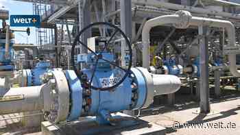 Bei einem Gaslieferstopp hat Deutschland drei Optionen