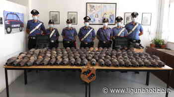 Recco e Rapallo, siciliani rubano catalizzatori Porter: denunciati - Liguria Notizie