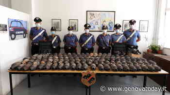 Torna a colpire la banda dei catalizzatori - GenovaToday