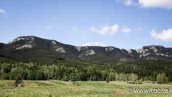 Coal company launches legal proceedings against Alberta government over policy change