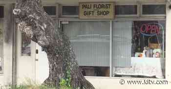 Popular Kailua florist closes retail store after 60 years - KITV Honolulu