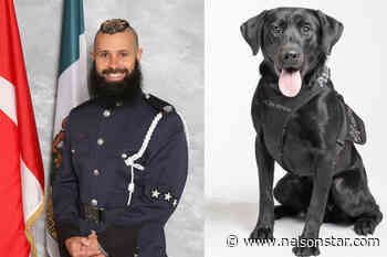 Newest Metro Vancouver Transit Police K9s named after 2 late officers - Nelson Star