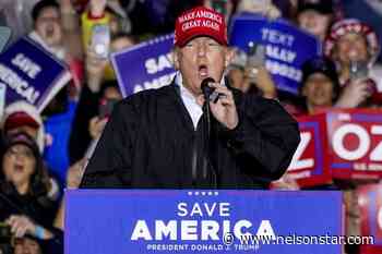 VIDEO: Donald Trump’s chances at 2024 election under renewed scrutiny - Nelson Star