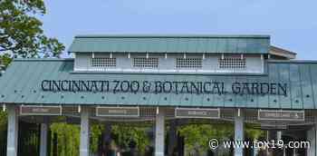 Military personnel get free admission to Cincinnati Zoo on Fourth of July - FOX19