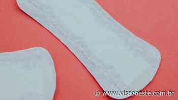 Cotia lança programa que oferece absorvente gratuito às alunas da rede municipal - Visão Oeste