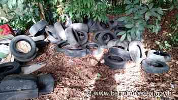 Meio Ambiente recolhe pneus descartados irregularmente às margens do Rio Bananal - Prefeitura Municipal de Barra Mansa (.gov)