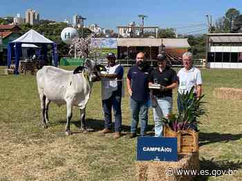 Produtores de Mimoso do Sul acumulam prêmios nacionais de bovinos leiteiros - es.gov.br