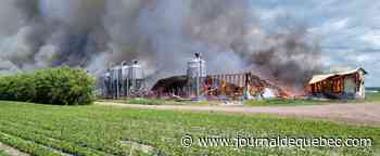 Incendie majeur à Saint-Hyacinthe: plus de 1000 porcs seraient morts