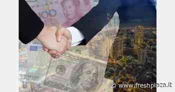 I default delle aziende asiatiche sono aumentati del 60 per cento rispetto al 2021 - Freshplaza.it