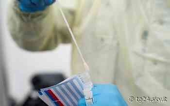 Covid Lazio, 8.673 casi: tasso di positività al 25 per cento - Sky Tg24