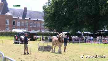 Landbouwers zetten investeringen on hold door onzekerheid in de sector - TV Limburg