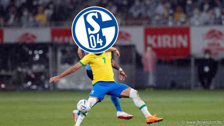 FC Schalke 04 vor nächstem Transfer! Nationalspieler im Anflug - DER WESTEN
