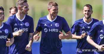 FC Schalke 04: Wie schlagen sich die Neuverpflichtungen? - eine Analyse - Westdeutsche Zeitung