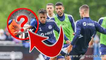 FC Schalke 04: Duo fehlt im Training – kehren SIE nie wieder zurück? - DER WESTEN