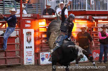 PHOTOS: Ponoka Stampede Showdown wrap up - Lacombe Express