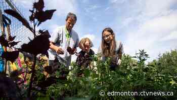Lacombe Composite recognized in global environmental contest - CTV News Edmonton