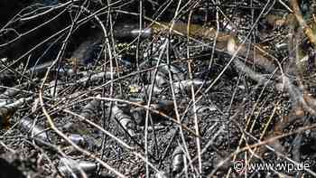 Party im Wald: Feuerwehr Herdecke fährt erneut zu Lagerfeuer - WP News