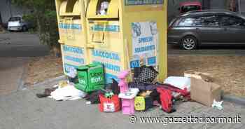 "Via Porro a Fidenza, rifiuti come sempre" - Gazzetta di Parma