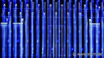 Internet: Bitkom: IT-Fachkräfte aus Russland für Deutschland - STERN.de