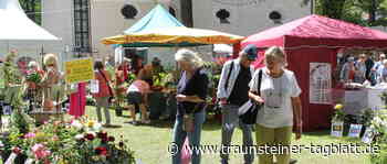 Die beste Werbeveranstaltung für die Region« – Traunsteiner Rosentage locken tausende Besucher an - Traunsteiner Tagblatt