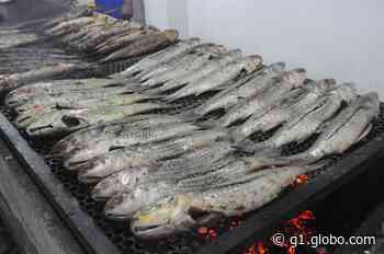Festa da Tainha acontece em Bertioga e Guarujá, SP - Globo