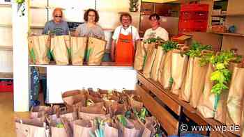 Menschen in Ennepetal hungern – Kirche: Tafelladen helfen - WP News
