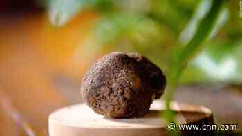 Only a few people knew about this rare truffle. Until now