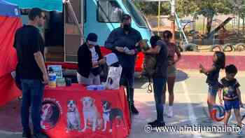 Realizan en Ensenada jornada de esterilización y vacunación para mascotas - AGENCIA FRONTERIZA DE NOTICIAS