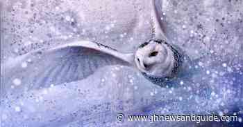 It's a wild, wild life at Astoria Fine Art - Jackson Hole News&Guide