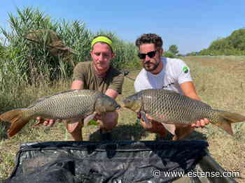 Pesca sportiva, un fine settimana intenso di competizioni | estense.com Ferrara - Estense.com