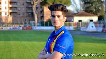 Fabriano, conferme in difesa ed attacco ed il ritorno di Gabrielli - AnconaToday