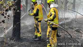 Sachsen: Großer Waldbrand bei Riesa eingedämmt - t-online