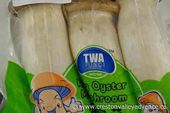 King oyster mushrooms recalled in B.C. over Listeria concerns - Creston Valley Advance