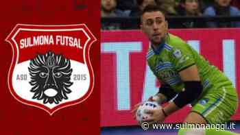 SULMONA FUTSAL, PRIMO COLPO PER LA B: ARRIVA IL PORTIERE TATONETTI DALLA A2 - SulmonaOggi