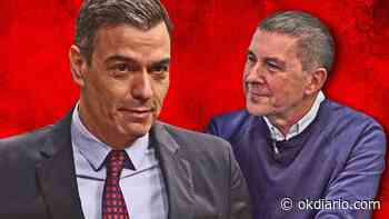 Bildu se jacta de que la ley de Memoria pactada con Sánchez cuestionará «la Transición ejemplar» - Okdiario