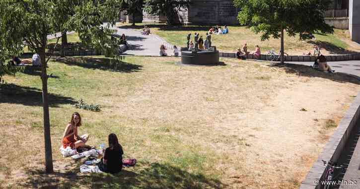Verhardingstaks komt er niet, milieufront teleurgesteld: “Gemiste kans” - Het Laatste Nieuws